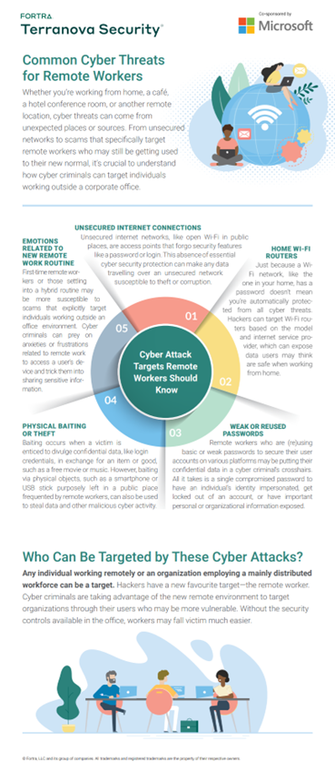 Common Cyber Threats Infographic